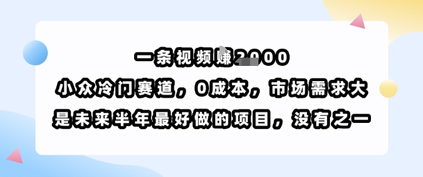 一条视频挣1k，小众冷门赛道，0成本，市场需求大，是未来半年最好做的项目，没有之一鱼见海科技-小程序源码-网站源码-免费源码-网创项目-网赚项目-无人直播-弹幕游戏直播鱼见海资源网-免费PHP网站源码模板,插件软件网创AI智能体资源分享平台！