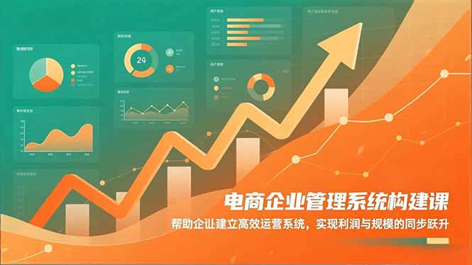 电商企业管理系统构建课:帮助企业建立高效运营系统,实现利润与规模的同步跃升