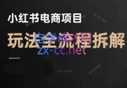 菲菲老师·小红书电商玩法(更新7月)