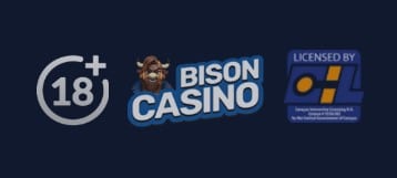 Recenzja kasyna Bison Casino w Polsce: Opinie na rok 2026