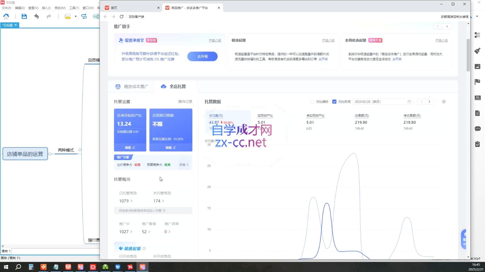 齐论拼多多vip课程