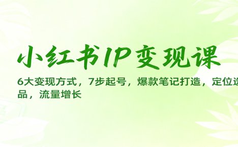 小红书IP变现课：6大变现方式，7步起号，爆款笔记打造，定位选品，流量增长