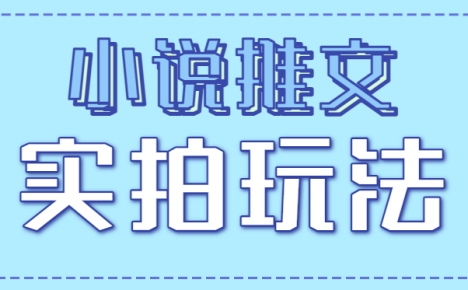 小说推文实拍玩法，零成本零门槛10元/单，轻松月收益万元