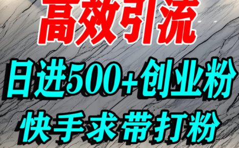 怎么打创业粉?快手求带视角精准引流创业粉,宝妈、学生群体日进500+精准流量