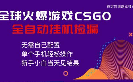 火爆游戏CSGO全自动捡漏,独家最新玩法,单个手机可操作,新手小白日入500+