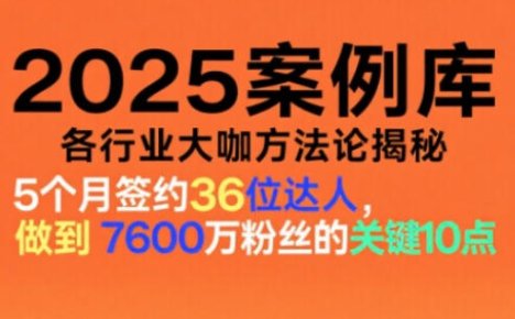 2025案例库,收录各行业大咖的方法论,各行业大咖方法论揭秘