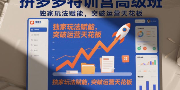 拼多多特训营高阶班，独家玩法赋能，突破运营天花板(更新260917)