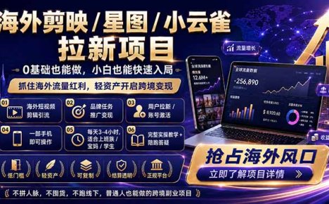 海外剪映 / 星图 / 小云雀拉新项目 普通人也能上手的跨境流量变现副业