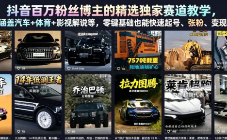 抖音百万粉丝博主的精选独家赛道教学,涵盖汽车+体育+影视解说等,零基础也能快速起号、涨粉、变现(更新0701)
