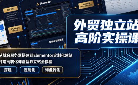 外贸独立站高阶实操课|从域名服务器搭建到Elementor定制化建站,打造高转化询盘型独立站全教程