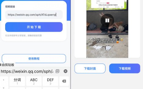 手机端也可下载微信视频号了？完全免费使用，一键解析视频号原视频和封面视频号下载助手v1.1