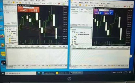 美金对冲创业项目，日收益1000-3000，小众暴力项目稳定运行8年