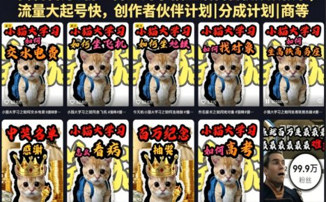 抖音百万粉丝博主的小猫生活科普视频教学，流量大起号快，创作者伙伴计划|分成计划|商单|收徒等