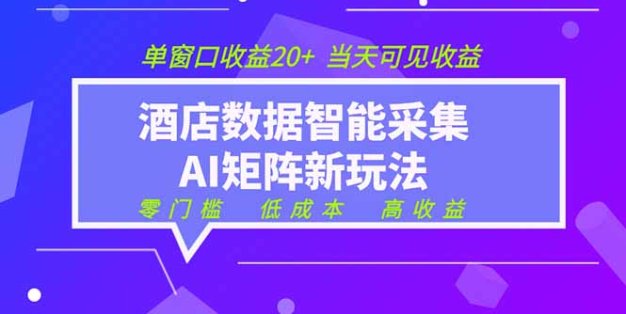 2026酒店数据采集ai智能矩阵新风口  低成本   高收益   当天见收益   单窗口20+