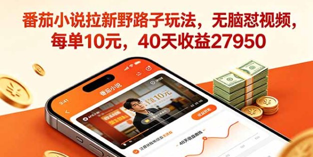 番茄小说拉新野路子玩法，无脑怼视频，每单10元，40天收益27950