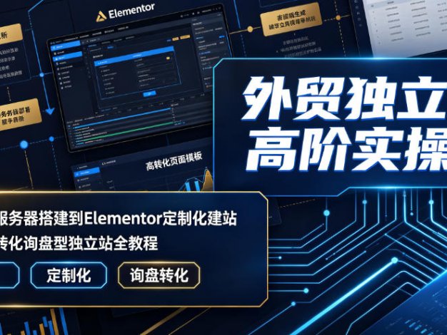 外贸独立站高阶实操课|从域名服务器搭建到Elementor定制化建站,打造高转化询盘型独立站全教程